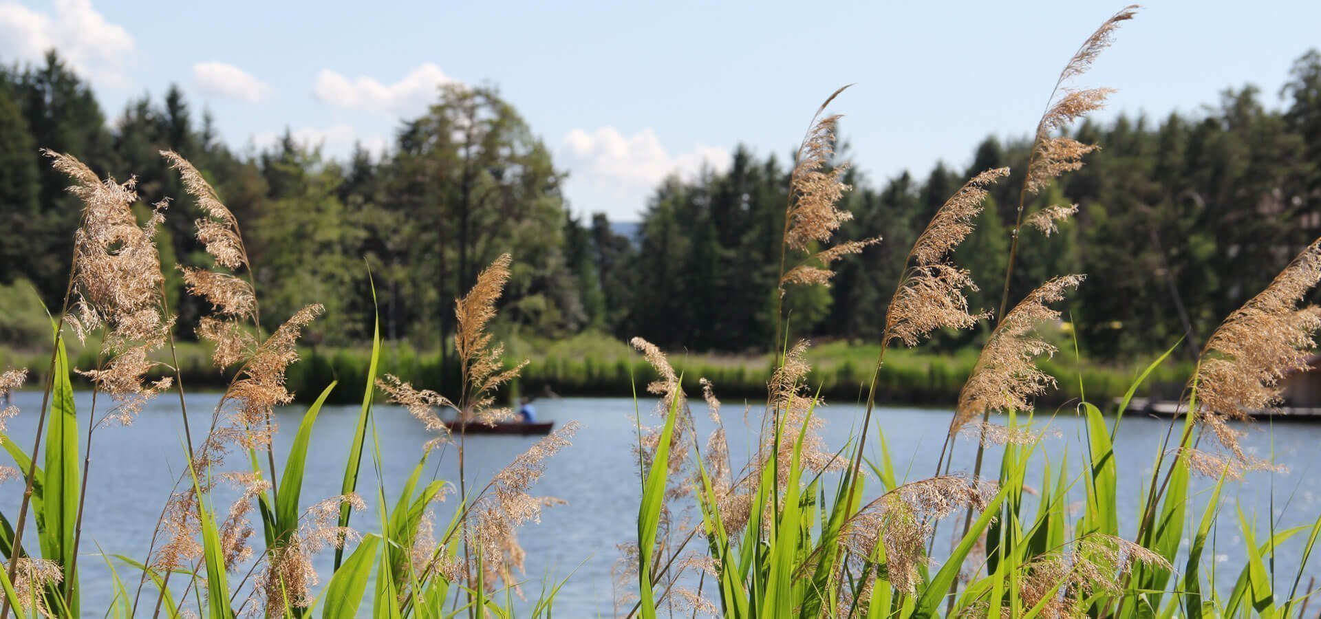 urlaub-auf-dem-bauernhof-mit-badesee